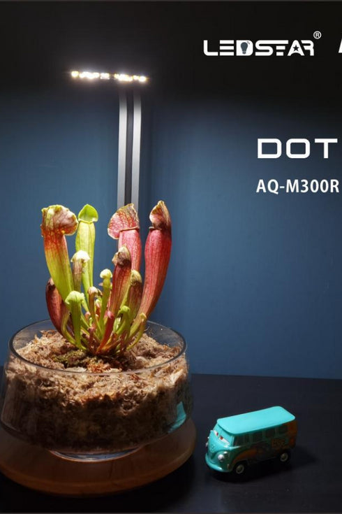 LEDStar AQ DOT - Desktop Light WRGB Stand Only